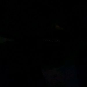 Meet your Posher, Tyron